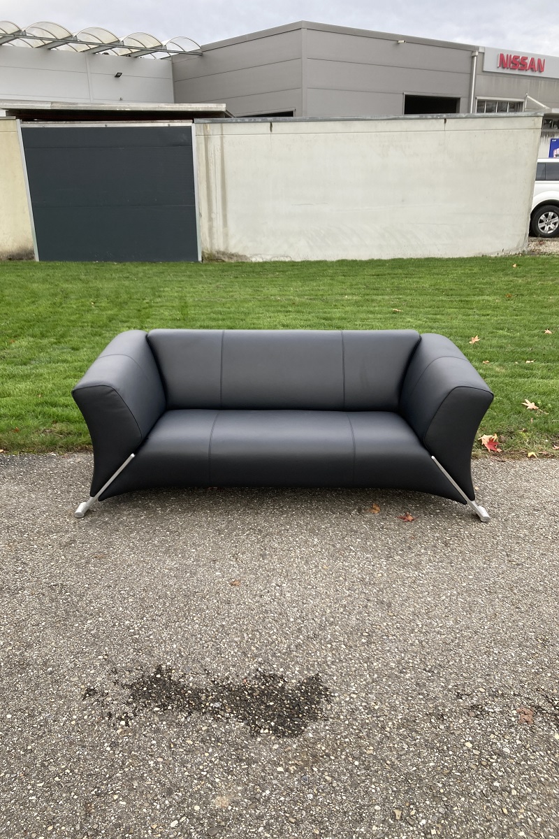 Rolf Benz Sofa Neu Beziehen Kosten